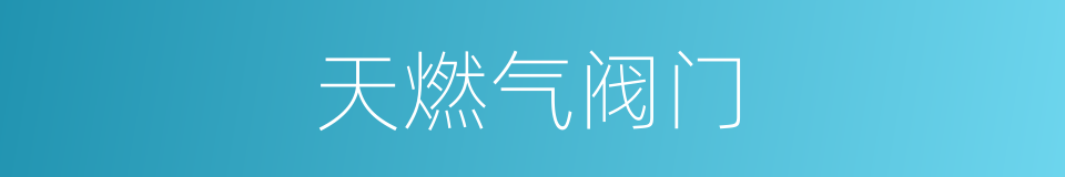 天燃气阀门的同义词