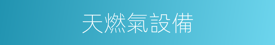 天燃氣設備的同義詞