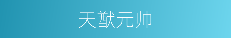 天猷元帅的同义词