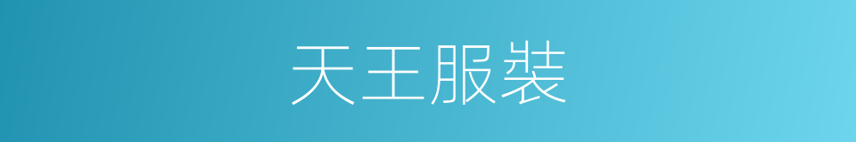天王服裝的同義詞