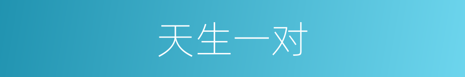 天生一对的意思