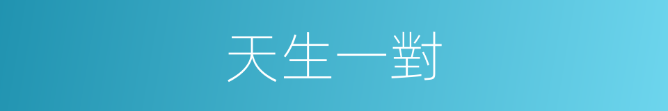 天生一對的意思