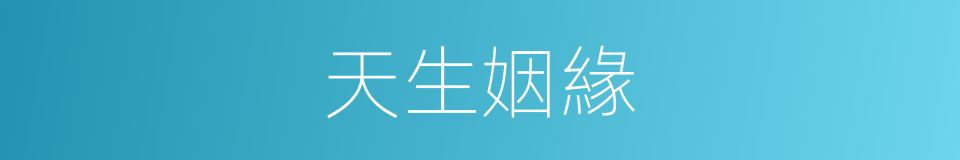 天生姻緣的同義詞