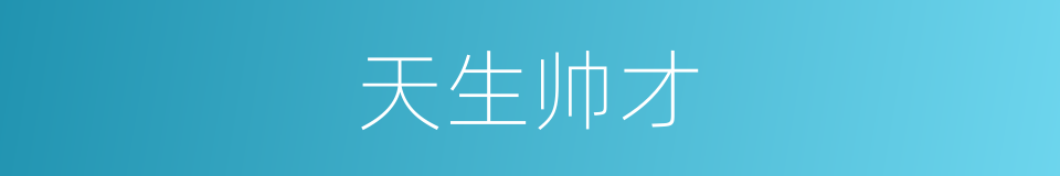 天生帅才的同义词