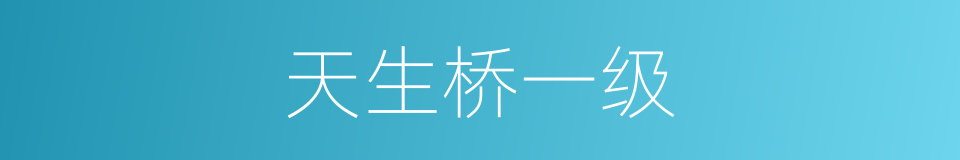 天生桥一级的同义词