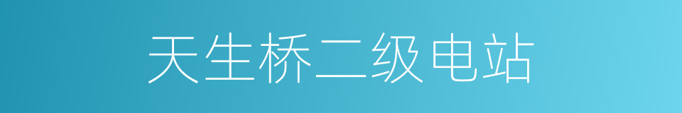 天生桥二级电站的同义词