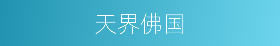 天界佛国的同义词