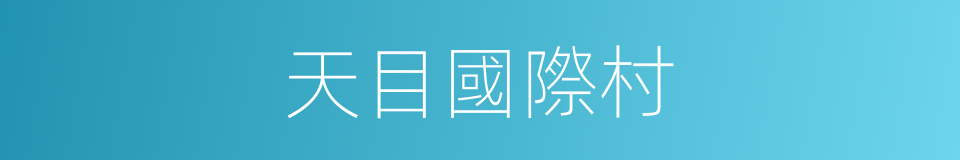 天目國際村的同義詞