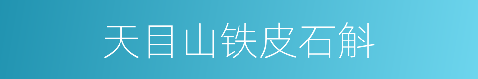 天目山铁皮石斛的同义词