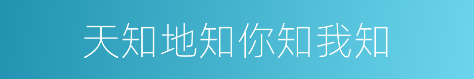 天知地知你知我知的意思