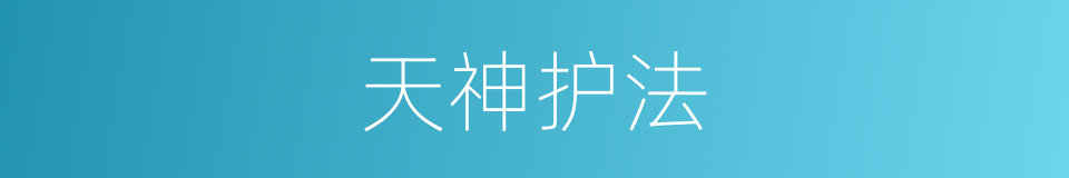 天神护法的同义词