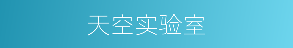 天空实验室的意思
