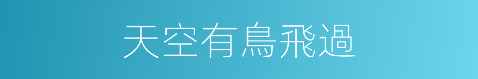 天空有鳥飛過的同義詞