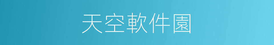 天空軟件園的同義詞