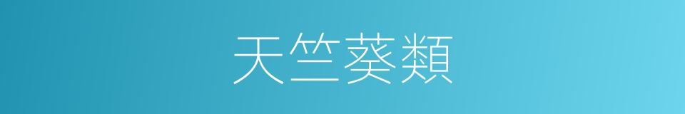 天竺葵類的同義詞