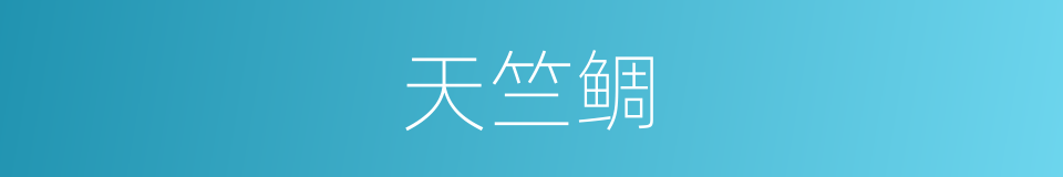 天竺鲷的同义词