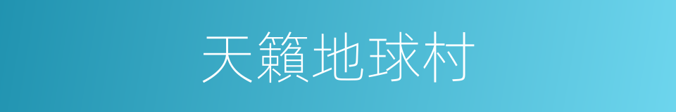 天籟地球村的同義詞