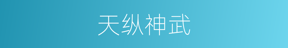 天纵神武的同义词