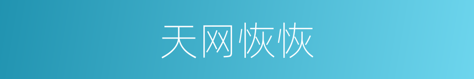 天网恢恢的意思