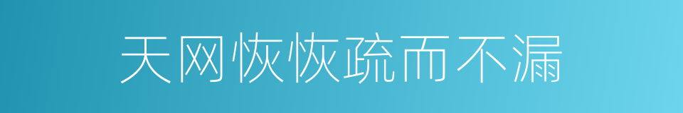 天网恢恢疏而不漏的同义词