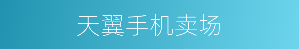 天翼手机卖场的同义词