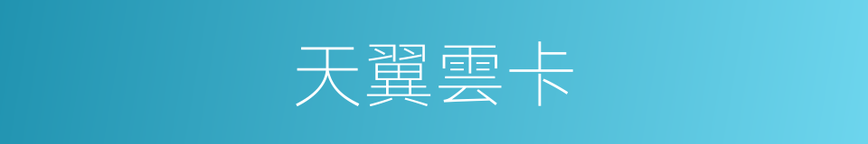 天翼雲卡的同義詞