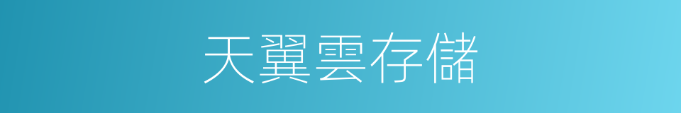 天翼雲存儲的同義詞