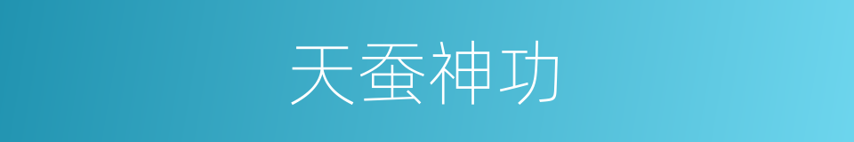 天蚕神功的同义词