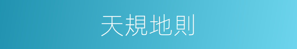 天規地則的同義詞