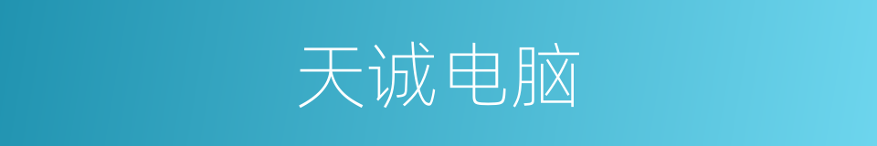 天诚电脑的同义词