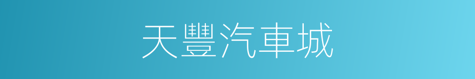 天豐汽車城的同義詞