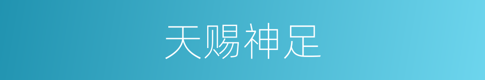 天赐神足的同义词