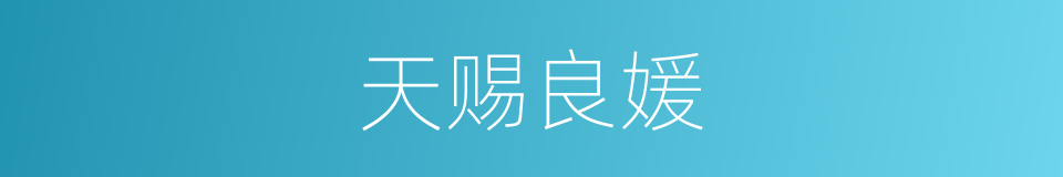 天赐良媛的同义词