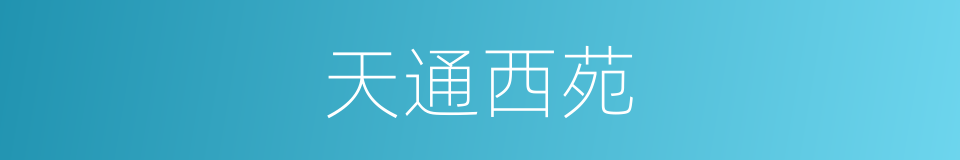 天通西苑的同义词