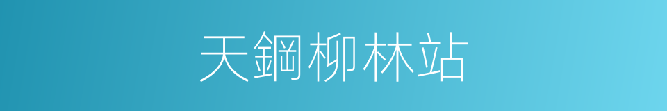 天鋼柳林站的同義詞