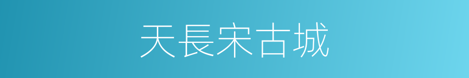 天長宋古城的同義詞