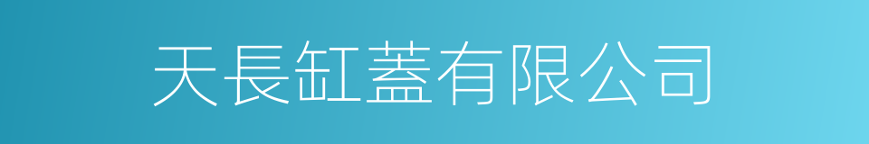 天長缸蓋有限公司的同義詞