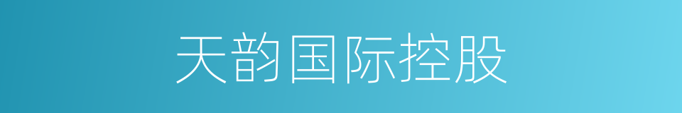 天韵国际控股的同义词