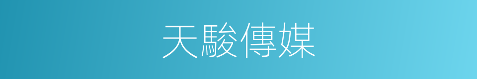 天駿傳媒的同義詞