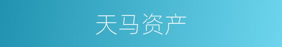 天马资产的同义词