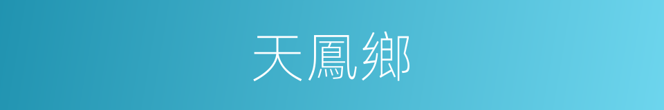 天鳳鄉的同義詞