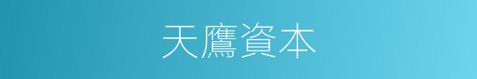 天鷹資本的同義詞