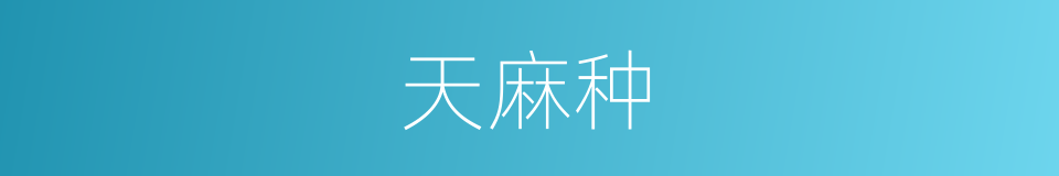 天麻种的同义词