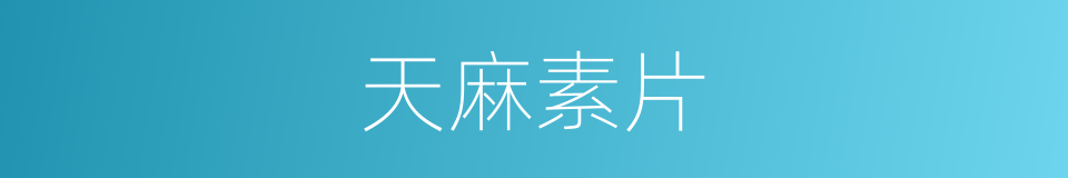 天麻素片的同义词