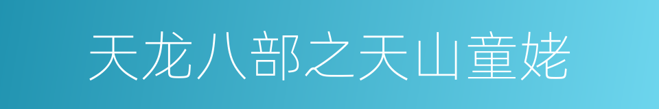 天龙八部之天山童姥的同义词
