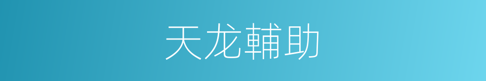 天龙輔助的同義詞
