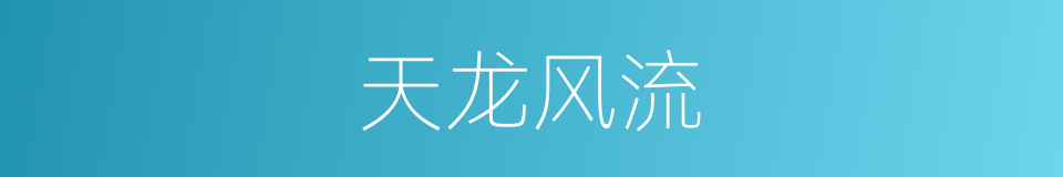 天龙风流的同义词