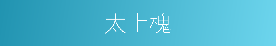 太上槐的同义词