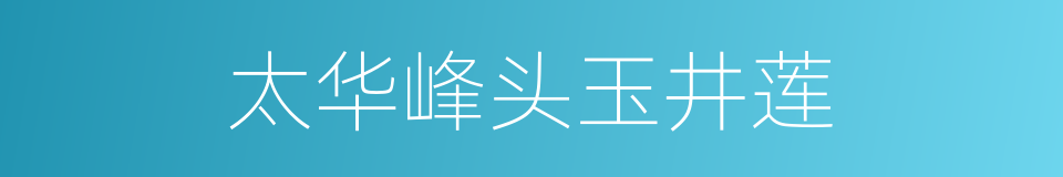 太华峰头玉井莲的同义词