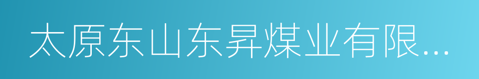 太原东山东昇煤业有限公司的同义词